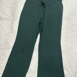 Aritzia Homestretch Straight Leg Pant